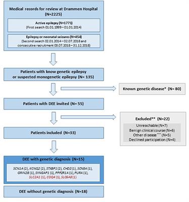 Monogenic developmental and epileptic encephalopathies of infancy and childhood, a population cohort from Norway